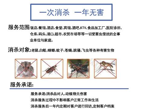 廣州滅鼠服務 廣州滅鼠服務